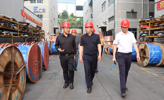 應急管理部四川消防研究所、東莞市質檢中心一行蒞臨民興電纜調研指導