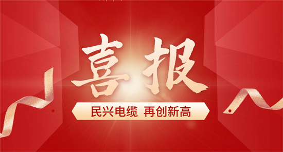 東莞唯一！民興電纜入選廣東省首席質(zhì)量官質(zhì)量變革創(chuàng)新典型案例