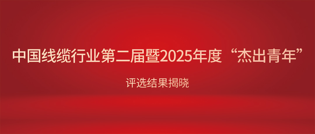 熱烈祝賀民興電纜總經(jīng)理?xiàng)顝s獲中國(guó)線(xiàn)纜行業(yè)“杰出青年”！